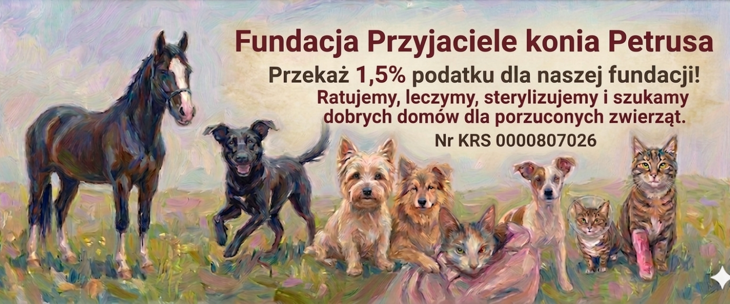 Fundacja Przyjaciele konia Petrusa